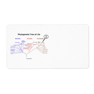 Phylogenetic Tree Of Life (You Are Here) label