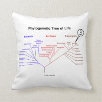 Phylogenetic Tree Of Life You Are Here Throw Pillow