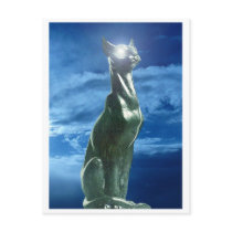 phynko postcards