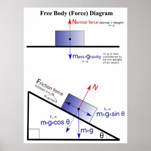 Physics Free Body Force Diagram Poster