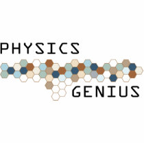 Physics Genius photo sculptures