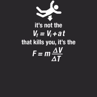 physics - it's the sudden deceleration that kills shirt