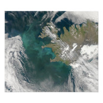 Phytoplankton bloom in the North Atlantic Ocean