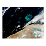 Phytoplankton bloom off Namibia thank you Postcard