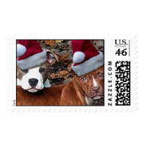 Pi bull Buddies Christmas Postage