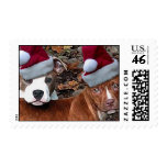 Pi bull Buddies Christmas Postage postage