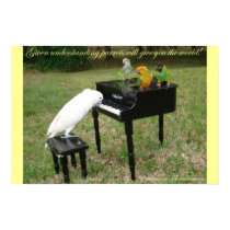 Pianist Parrots posters by Fluidwaters Pianist Parrots posters