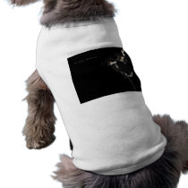 Piano Dance pet clothing