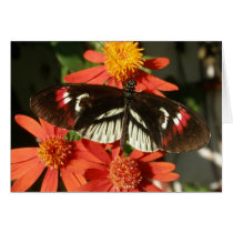 Piano Key Butterfly on Orange flower cards by vjulye Piano Key Butterfly on Orange flower cards