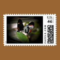 Piano Key Mating stamps