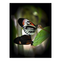 Piano Key Pairing Print