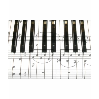 Piano Keyboard and Music Notes t-shirts