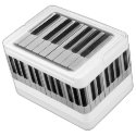 Piano Keyboard Custom Can Cooler Igloo Cooler