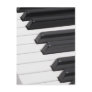 Piano or Organ Keyboard Keys Post Cards