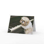 piano player greeting cards
