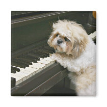 piano player magnets