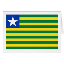 Piauí, Brazil Flag Greeting Card