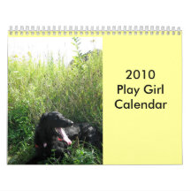Pic166, 2010 juego GirlCalendar Calendario De Pared