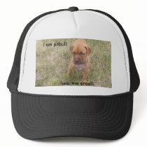 PIC_0236_5, I am pitbull , hear me growl! hats by peeweedread PIC_0236_5, I am pitbull , hear me growl! hats