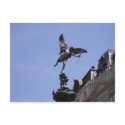 Picadilly Angel postcards by nightsoflondon Picadilly Angel postcards