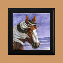Picasso of Sand Wash Basin HMA gift boxes