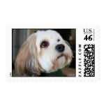 picasso the dog postage