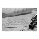 postcard - Poster with black & white photo of piccolo and sheet music