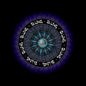 Pichas  Seal t-shirts