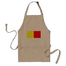 Pichincha Province, Ecuador flag Aprons