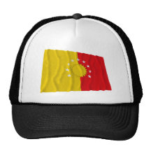 Pichincha waving flag hats
