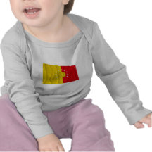 Pichincha waving flag shirts