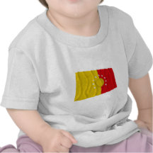 Pichincha waving flag t shirts