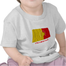 Pichincha waving flag with Name T-shirt