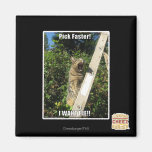 Pick Faster! Refrigerator Magnet