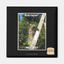 Pick Faster! Refrigerator Magnet