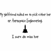Pick Girlfriend or Aerospace Engineering photo sculptures