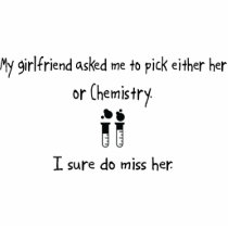 Pick Girlfriend or Chemistry photo sculptures by whatitis Pick Girlfriend or Chemistry photo sculptures