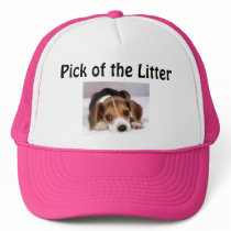 Pick of the Litter Hat