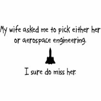 Pick Wife or Aerospace Engineering photo sculptures