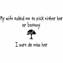 Pick Wife or Botany photo sculptures by 1000suns Pick Wife or Botany photo sculptures