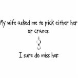 Pick Wife or Cranes Photo Sculpture