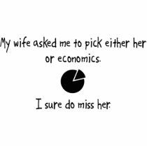 Pick Wife or Economics photo sculptures