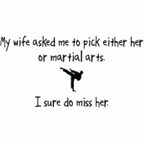 Pick Wife or Martial Arts photo sculptures