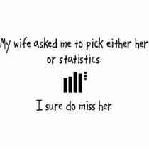 Pick Wife or Statistics photo sculptures