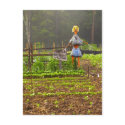 Pick Your Own Melons postcard