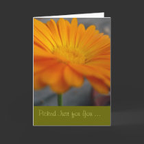 Picked just for you . . . cards by stucker111 Picked just for you . . . cards