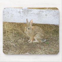Picket Fence Bunny mousepads