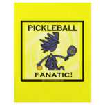 Pickleball Fanatic flyers