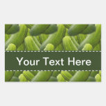 Pickles; Pickle Rectangular Stickers