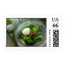 Pickling Cuke Stamps by playswithfood Pickling Cuke Stamps